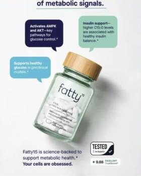 Créa fatty15